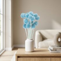 Product Craspedia dried flower decoration for vase, minimalist style, long-lasting summer decoration, 55cm, 20 pieces