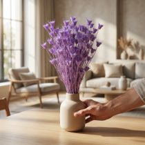 Product Dried Nigella flowers bouquet, decorative use in the living room, creates a unique ambience, 70cm, 50g