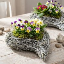 Product Decorative Vine Heart Planter, White, Creative Planting Idea for Home &amp; Gift, Plastic Film, Set of 4, 15cm x 23cm x 5cm