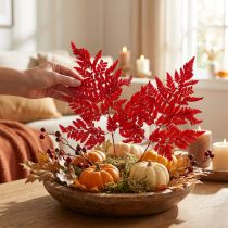 Product Preserved Red Fern Stems 42cm Pack of 10 for Autumn Decorations