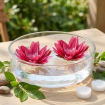 Product Floating water lily artificial table decoration fuchsia Ø15cm 2pcs