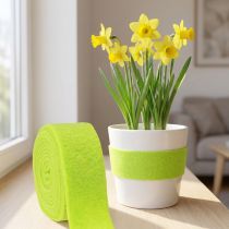 Product Felt Ribbon Green 7.5cm 5m