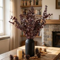 Product Eucalyptus branches, preserved eucalyptus, dried flowers, red, 75cm, 150g