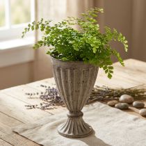 Product Decorative trophy planter antique look grey brown Ø13cm H19cm
