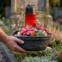 Product Oasis Black Biolit Plant Bowl Flower Bowl Black Ø26cm