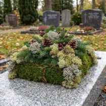 Product Decorative moss – real moss and lichen for floral arrangements 250g