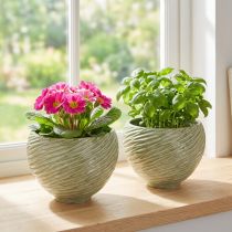 Product Planter decorative bowl ceramic in green Ø15cm H11cm 2pcs