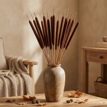 Product Reed Cob Mix Brown 100 pcs