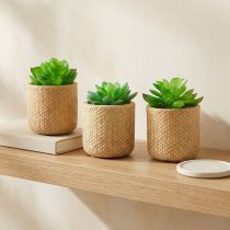 Product Artificial Succulents in Pot Artificial Plants Assorted 10cm 3pcs