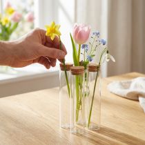 Product Test tube decorative vase with cork lid Ø4cm H18cm 6 pcs