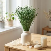 Product Dried Flax Grass, Green, 50-55cm, Decorative DIY