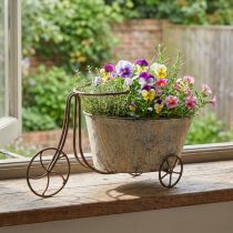 Product Planting bicycle flowerpot bicycle rust gray 34×16×18cm