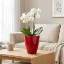 Product Orchid pot shiny Ø12.5cm red, 1 pc