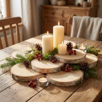 Product Wooden discs with bark birch disc natural Ø9-10cm 7 pcs