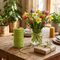 Product Jute ribbon jute cord ribbon decorative ribbon jute green Ø4mm 100m