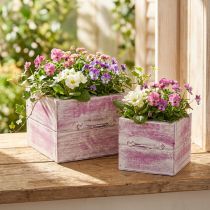 Product Plant drawer with handle pink white wood 12/15cm set of 2