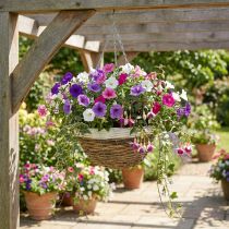 Product Plant bowl, hanging basket, hanging basket natural, white Ø35cm