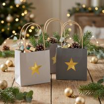 Product Paper bags with star and handle gray assorted 12×12×12cm 9pcs