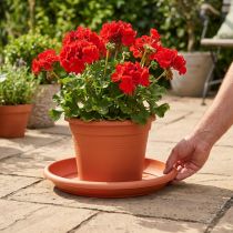 Product Coaster "Linda" Ø37cm terracotta