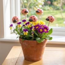 Product Colourful Ladybugs Decoration Wooden Flower and Pot Stakes 3.5cm 24 pcs