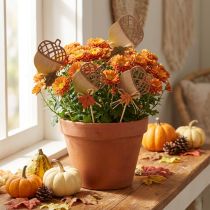 Product Wooden Acorn Flower Picks Autumn Decoration 7x10cm Set of 12