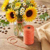 Product Jute ribbon jute cord jute ribbon orange Ø2mm 200m