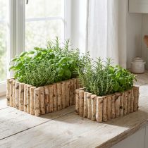 Product Planter wooden herb box birch L23/28cm set of 2