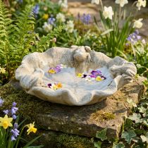 Product Bird bath with frogs, concrete garden figure, bird bath lotus leaf W21cm H7cm