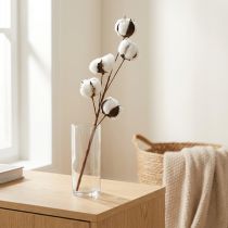 Product Cotton Branch Decoration Real Cotton Decorative Branch 5 Heads 50cm