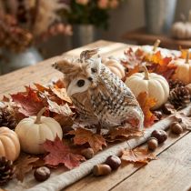 Product Forest owl, autumn decoration, decorative owl, Halloween H16cm