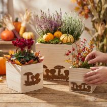 Product Plant cubes, flower box, autumn decoration with patina 20/16/12cm set of 3