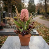 Product Artificial flower Banksia pink autumn decoration commemorative floristry 64cm