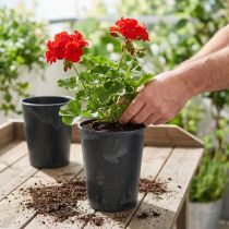 Product Plant pot plastic anthracite Ø13cm H16.5cm 4pcs