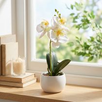 Product Artificial orchids in pot white mini orchids Ø7cm H22cm