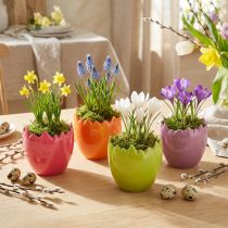 Product Mini Flowerpot Easter Egg Colorful Eggs Vases Pastel 8.5cm 4 Pcs