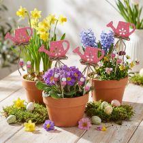 Product Flower stakes Colourful wooden watering can with dots Summer decorations 4.5×7cm 10 pcs
