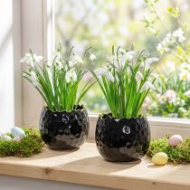 Product Ceramic egg-shaped flower pot, black, Ø10cm, H8cm, 2 pieces