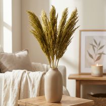 Product Dried grass, olive green, decorative, 70cm, 10 pieces, Pampas grass substitute