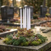Product Dried Fruits Bell Cup Natural Mourning Decoration 8.5-11cm 10 Pcs