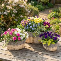 Product Wicker basket for planting Plant bowl L29/33/38cm set of 3