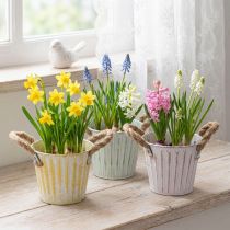 Product Planting bucket, metal pot with handles, decorative planter, pink/green/yellow, shabby chic, Ø12cm, H10cm, set of 3
