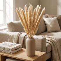 Product Pampas grass dried flower decorative branches for home and table decoration