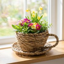 Product Teacup basket for natural home decor and charming ambience 15cm