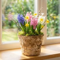 Product Round planter, natural decoration, bark, birch pot, Ø12cm H10cm, 5 pieces