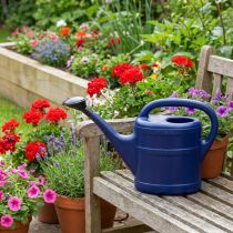 Product Watering can 5l blue