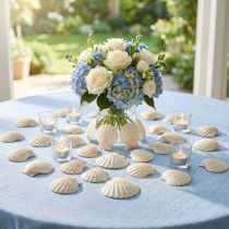 Product Shell decoration scallops in natural 3.5cm–4cm 300g