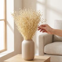 Product Dried grass flax dried natural bleached 50-55cm 180g