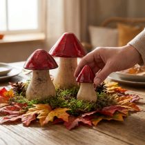 Product Decorative mushrooms wooden mushrooms red gloss autumn decoration H6/8/10cm set of 3