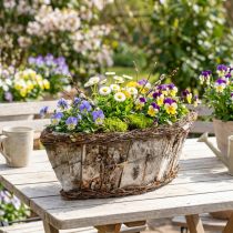 Product Plant bowl oval jardiniere birch bark vines 36x13x12cm