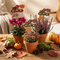 Product Flower Stick Fly Agaric Decoration Hedgehog Autumn Decoration 8cm 12 Pcs
